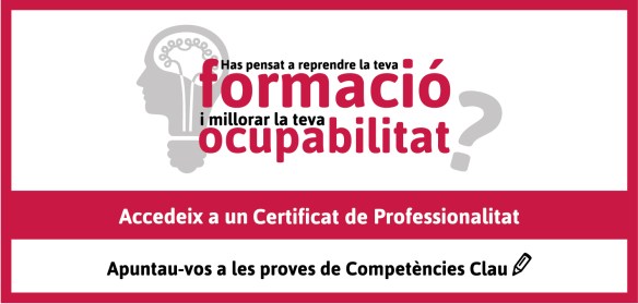 banner_SOIB_competències_clau-06