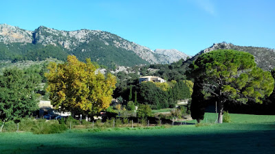 052d8f1ef306e53f9bb52c3e612f18db-741119